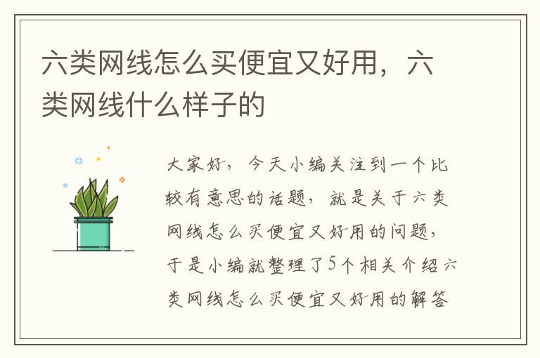 六类网线怎么买便宜又好用,六类网线什么样子的