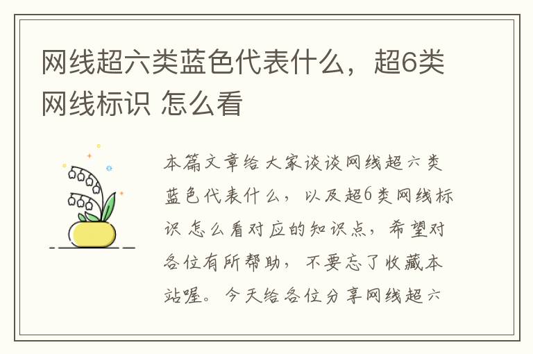 网线超六类蓝色代表什么,超6类网线标识 怎么看
