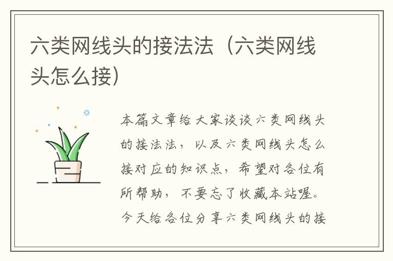 六类网线头的接法法(六类网线头怎么接)