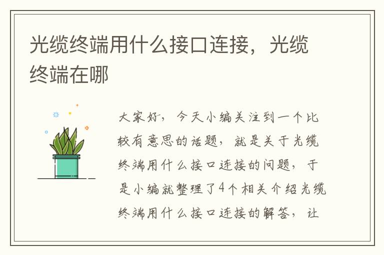 光缆终端用什么接口连接,光缆终端在哪