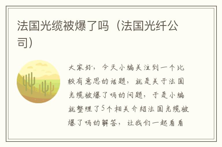 法国光缆被爆了吗(法国光纤公司)