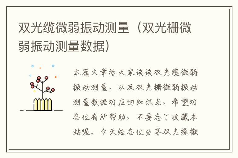 双光缆微弱振动测量(双光栅微弱振动测量数据)