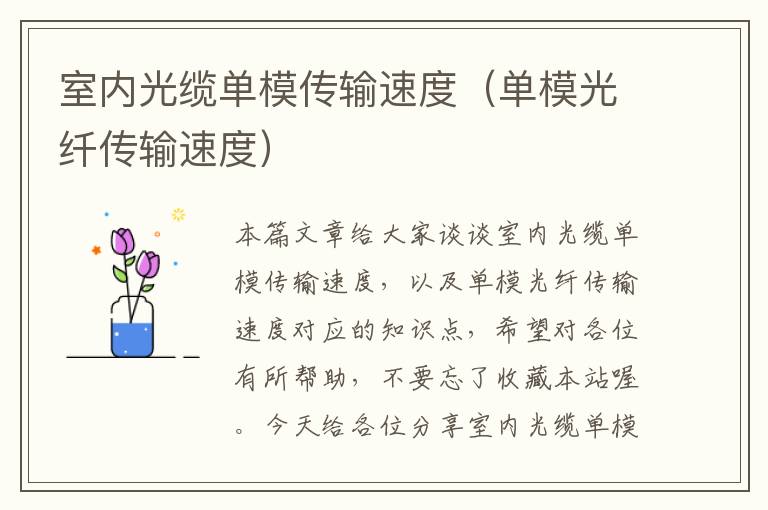 室内光缆单模传输速度(单模光纤传输速度)