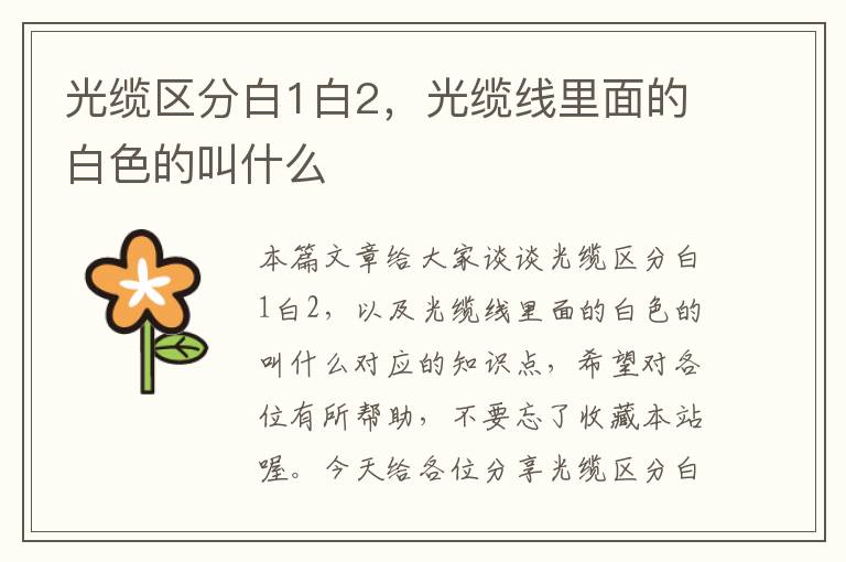 光缆区分白1白2,光缆线里面的白色的叫什么