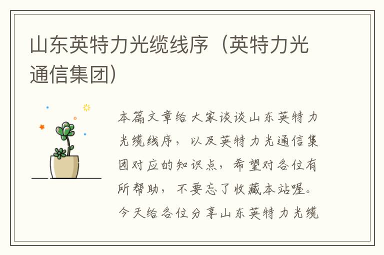 山东英特力光缆线序(英特力光通信集团)