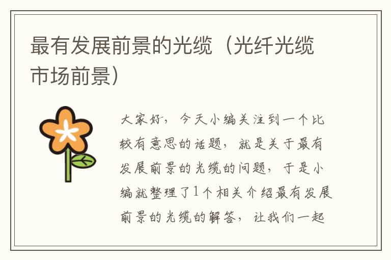 最有发展前景的光缆(光纤光缆市场前景)