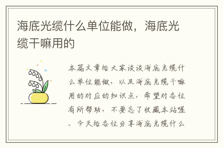海底光缆什么单位能做,海底光缆干嘛用的