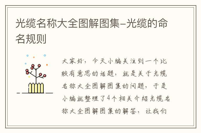 光缆名称大全图解图集-光缆的命名规则