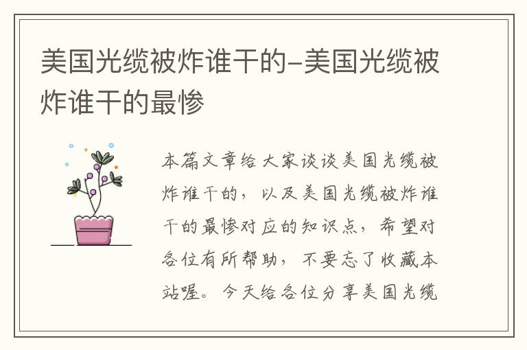 美国光缆被炸谁干的-美国光缆被炸谁干的最惨