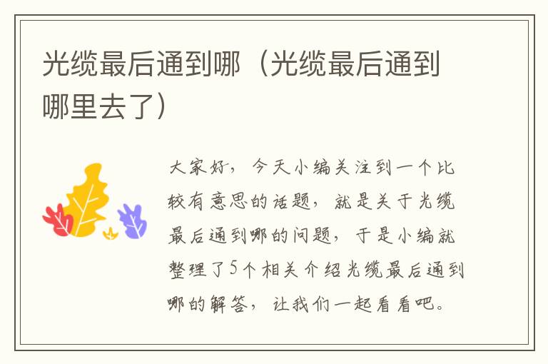 光缆最后通到哪(光缆最后通到哪里去了)