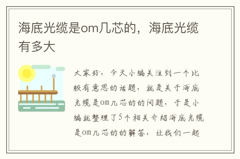 海底光缆是om几芯的,海底光缆有多大