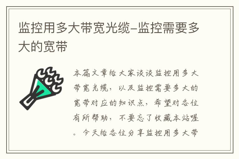 监控用多大带宽光缆-监控需要多大的宽带