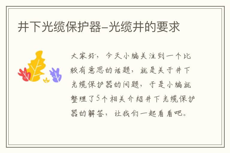 井下光缆保护器-光缆井的要求