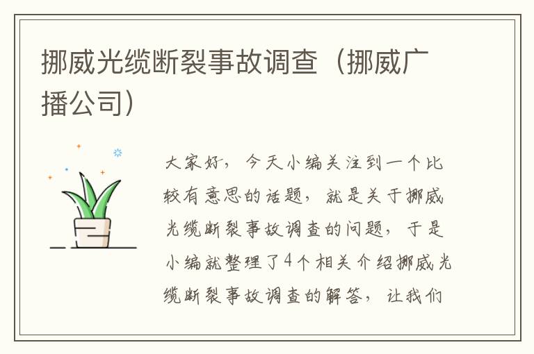挪威光缆断裂事故调查（挪威广播公司）