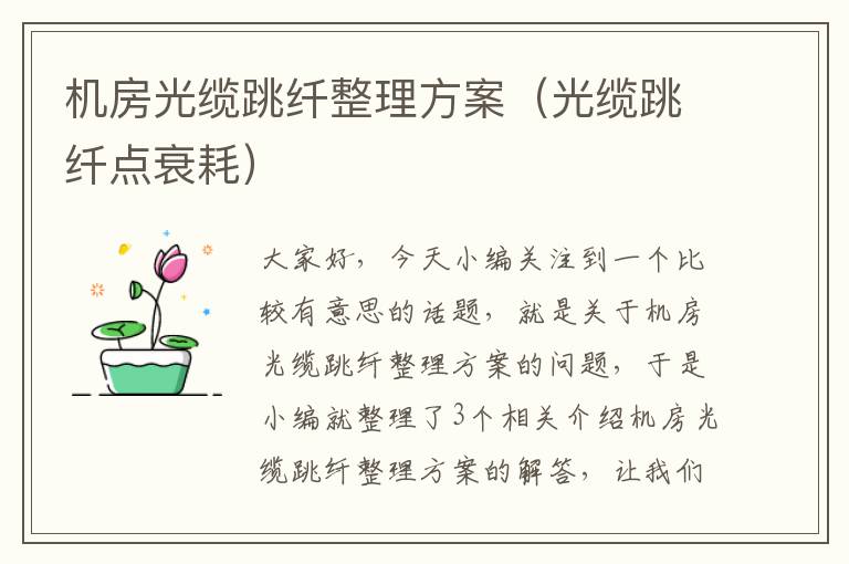 机房光缆跳纤整理方案(光缆跳纤点衰耗)