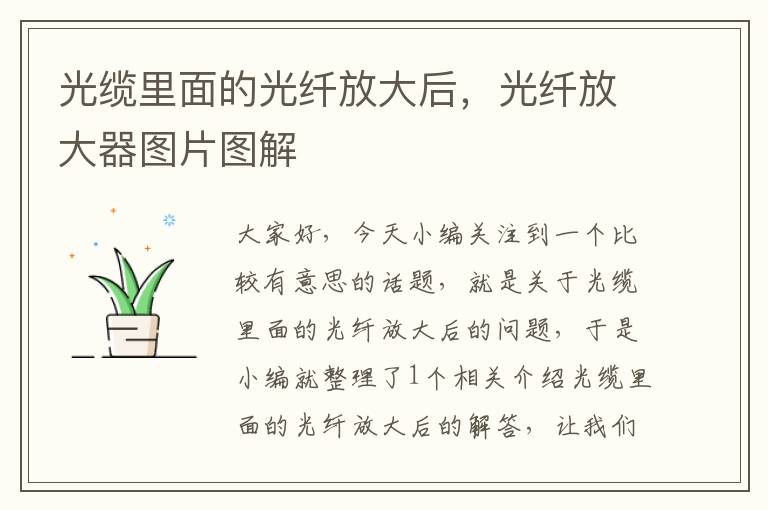 光缆里面的光纤放大后,光纤放大器图片图解