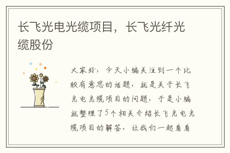长飞光电光缆项目,长飞光纤光缆股份
