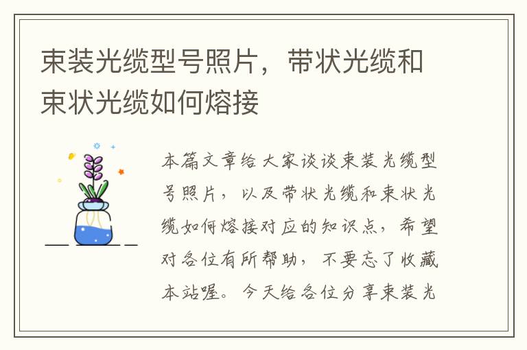 束装光缆型号照片,带状光缆和束状光缆如何熔接
