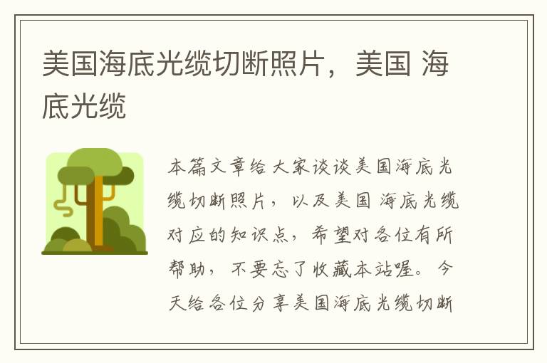 美国海底光缆切断照片,美国 海底光缆