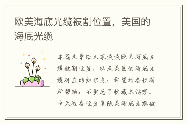 欧美海底光缆被割位置,美国的海底光缆