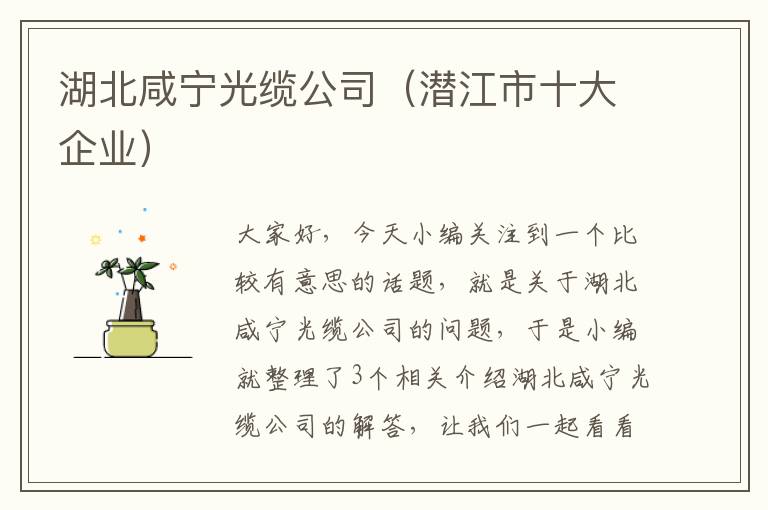 湖北咸宁光缆公司(潜江市十大企业)