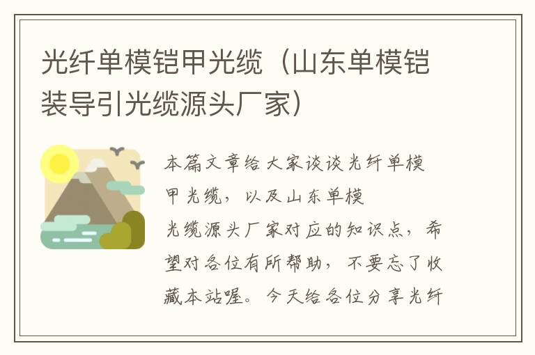 光纤单模铠甲光缆(山东单模铠装导引光缆源头厂家)