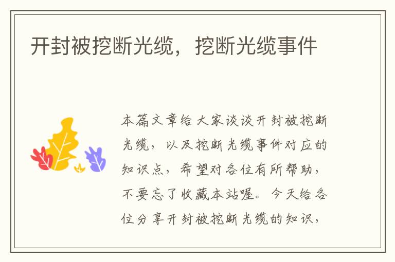 开封被挖断光缆,挖断光缆事件