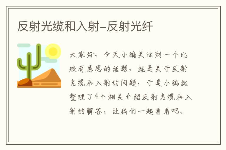 反射光缆和入射-反射光纤