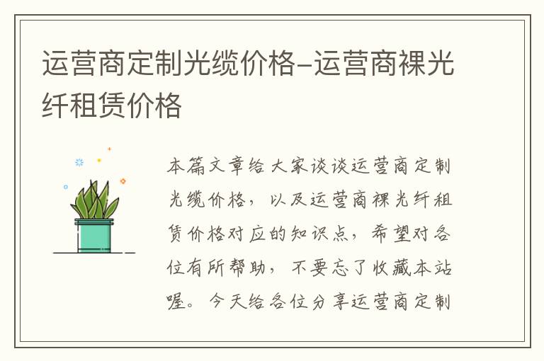 运营商定制光缆价格-运营商裸光纤租赁价格