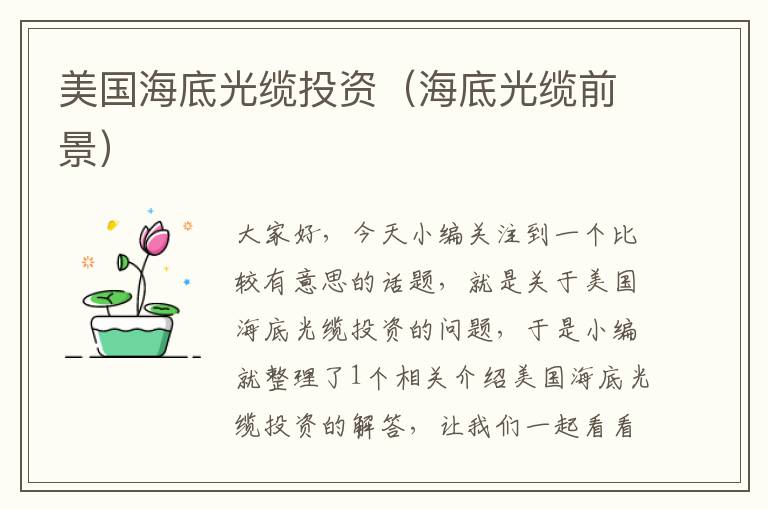 美国海底光缆投资(海底光缆前景)