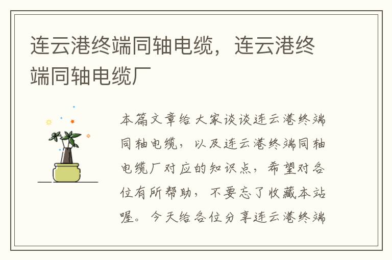 连云港终端同轴电缆,连云港终端同轴电缆厂