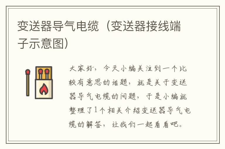 变送器导气电缆(变送器接线端子示意图)