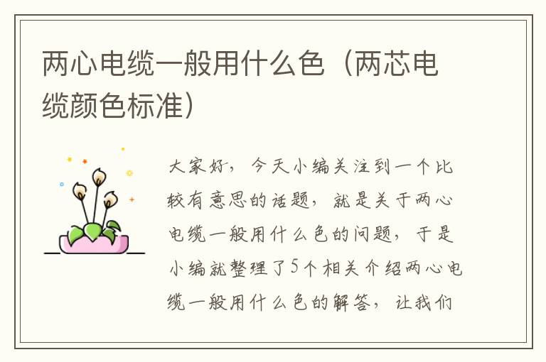 两心电缆一般用什么色(两芯电缆颜色标准)