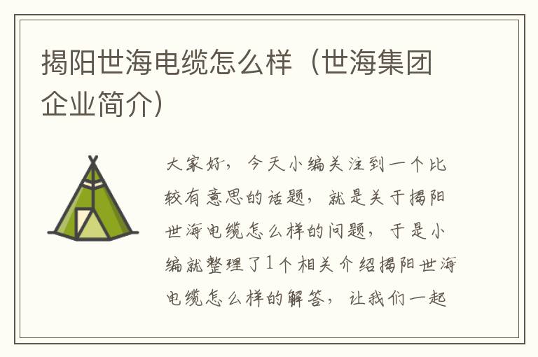 揭阳世海电缆怎么样(世海集团企业简介)