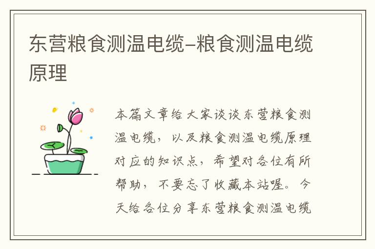 东营粮食测温电缆-粮食测温电缆原理