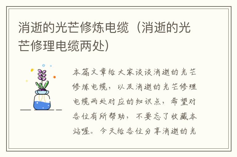 消逝的光芒修炼电缆(消逝的光芒修理电缆两处)