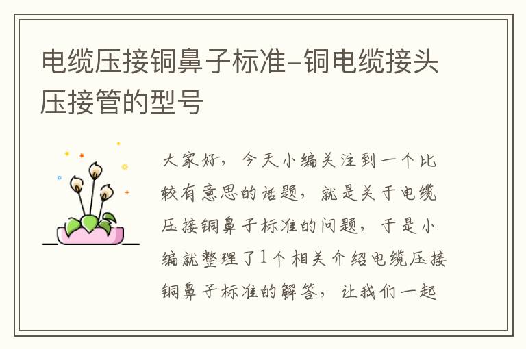 电缆压接铜鼻子标准-铜电缆接头压接管的型号