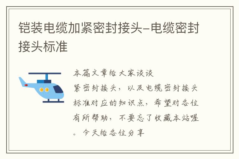 铠装电缆加紧密封接头-电缆密封接头标准