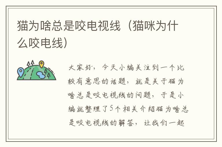 猫为啥总是咬电视线(猫咪为什么咬电线)