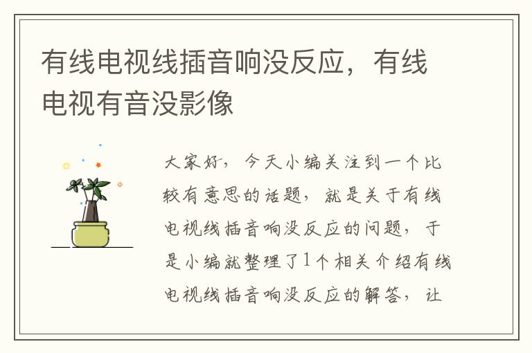 有线电视线插音响没反应,有线电视有音没影像