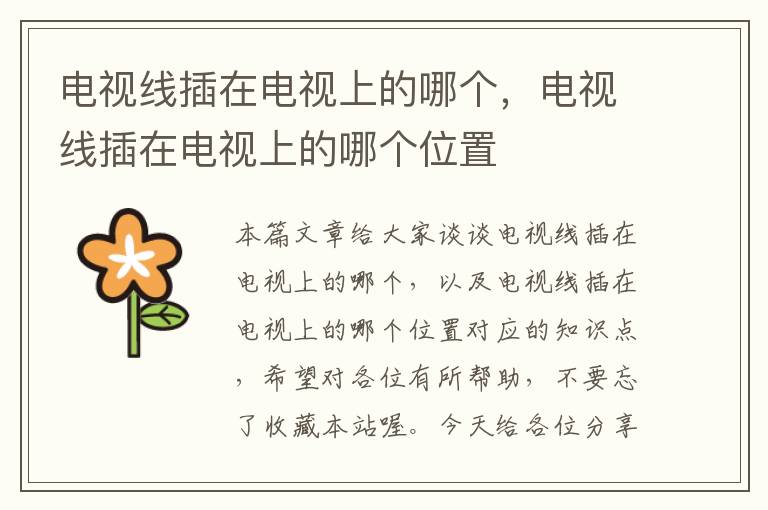 电视线插在电视上的哪个,电视线插在电视上的哪个位置
