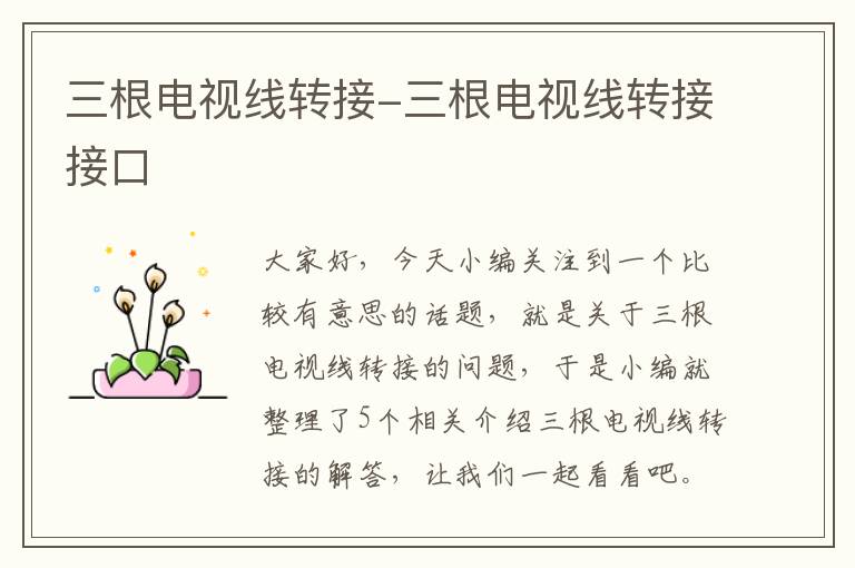 三根电视线转接-三根电视线转接接口