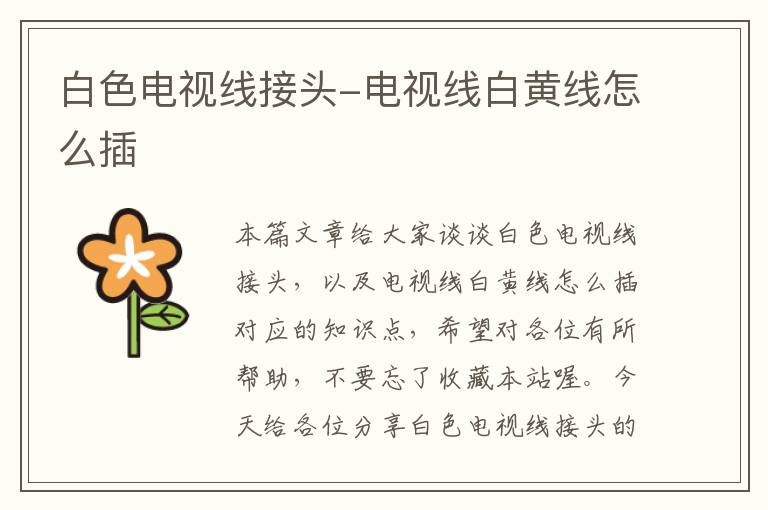 白色电视线接头-电视线白黄线怎么插