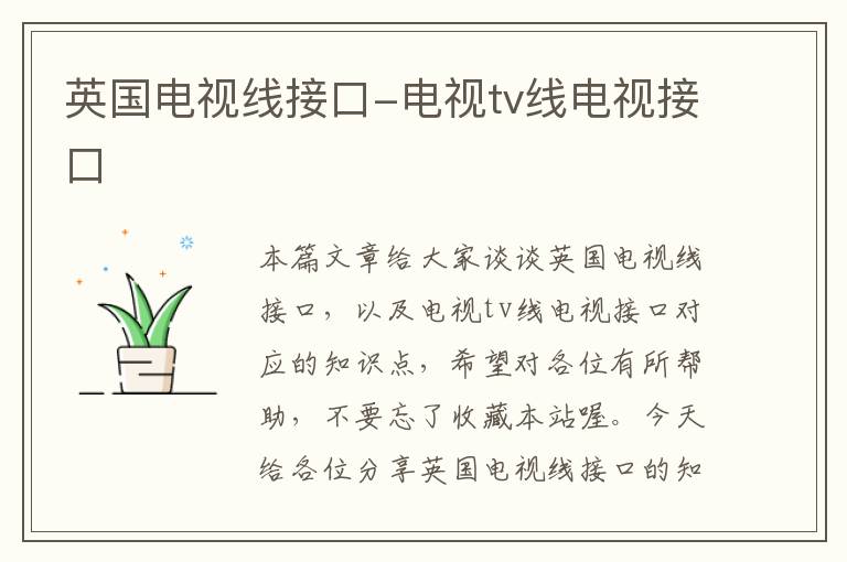 英国电视线接口-电视tv线电视接口