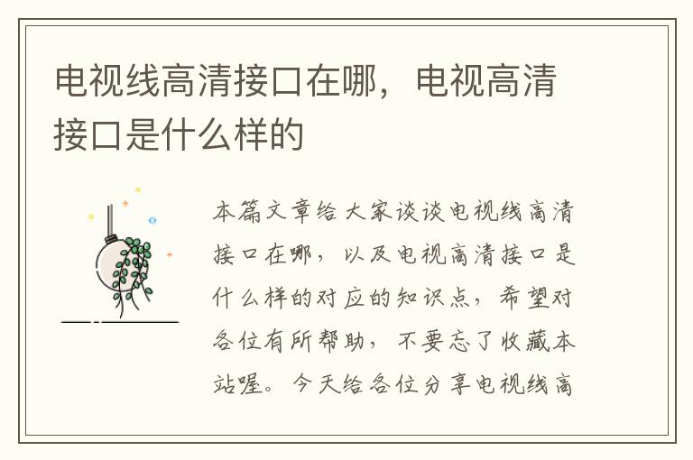 电视线高清接口在哪,电视高清接口是什么样的