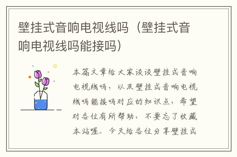 壁挂式音响电视线吗(壁挂式音响电视线吗能接吗)