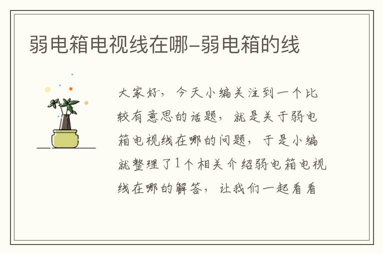 弱电箱电视线在哪-弱电箱的线