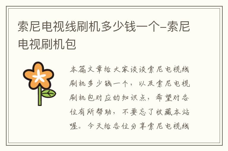 索尼电视线刷机多少钱一个-索尼电视刷机包