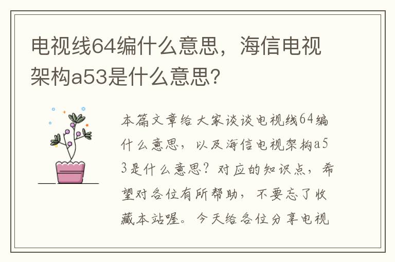 电视线64编什么意思,海信电视架构a53是什么意思?