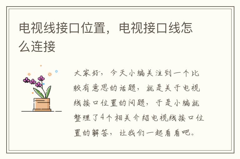 电视线接口位置,电视接口线怎么连接